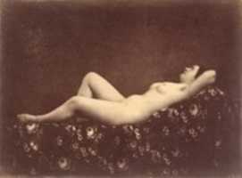 Free download [Female Nude, Reclining, in Profile] free photo or picture to be edited with GIMP online image editor